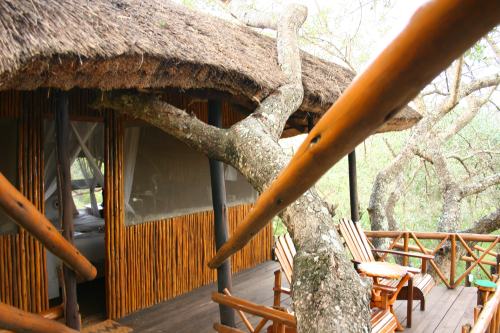 Pezulu Tree House (8)